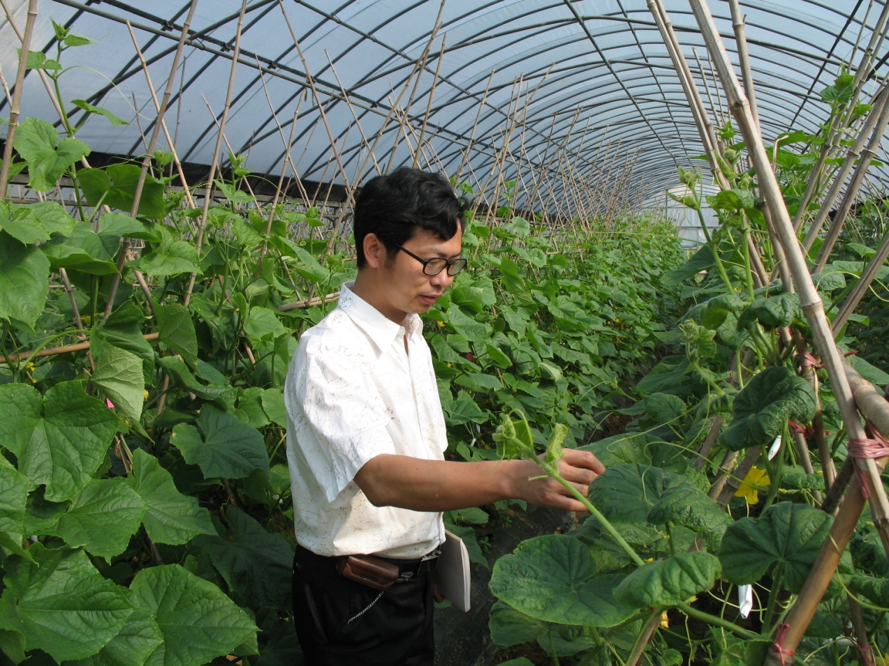 湖南省蔬菜研究所陈惠明研究员.