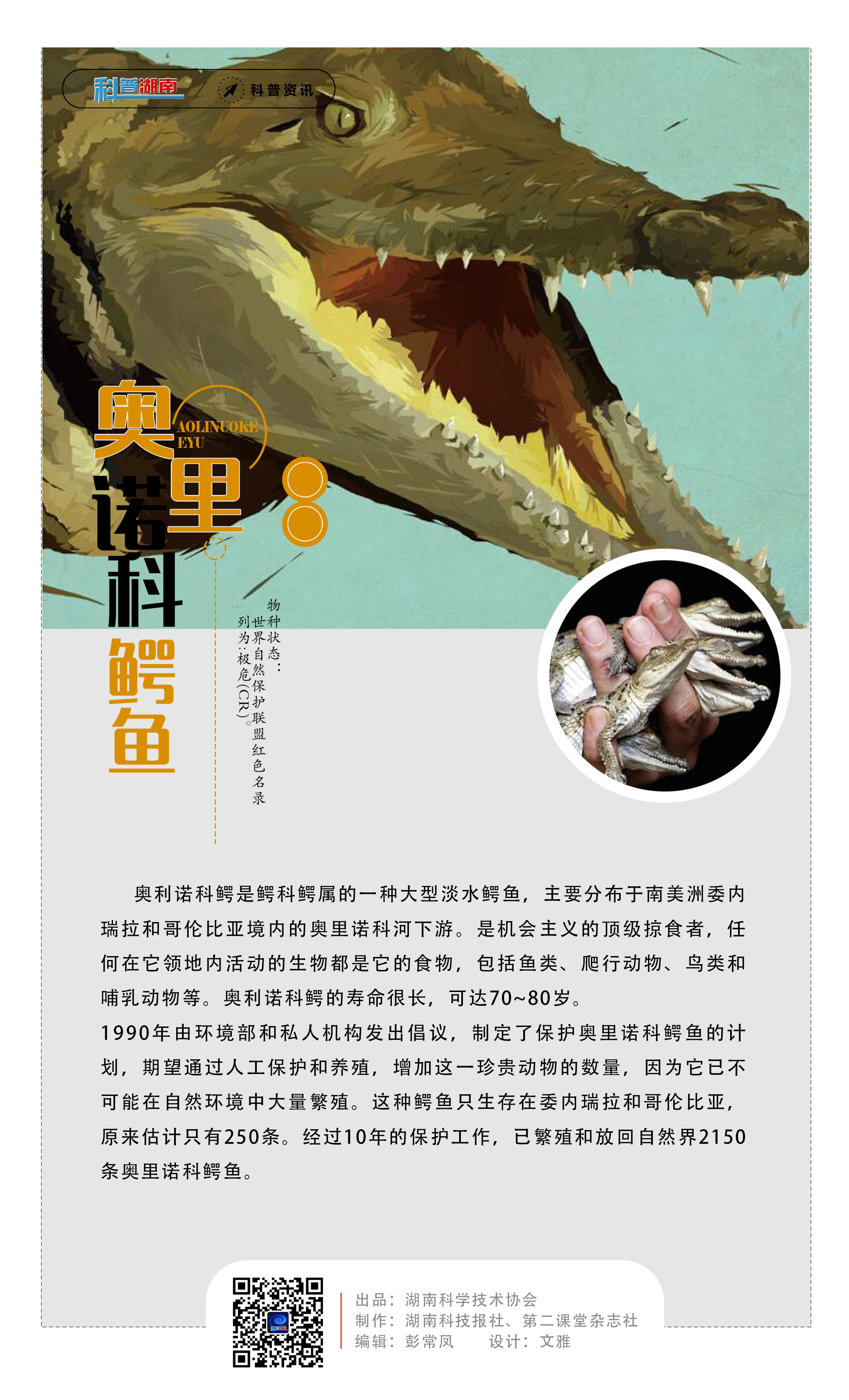 3奥里诺科鳄鱼.jpg