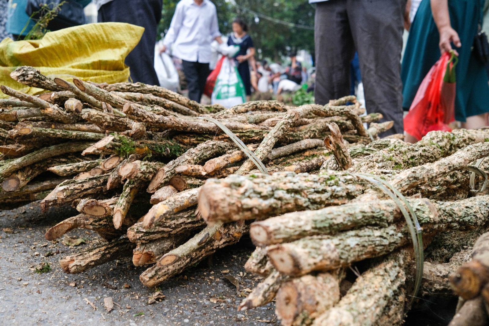 进补的习俗,各乡村村民尤其是大山里的瑶族同胞们,就近上山挖药30