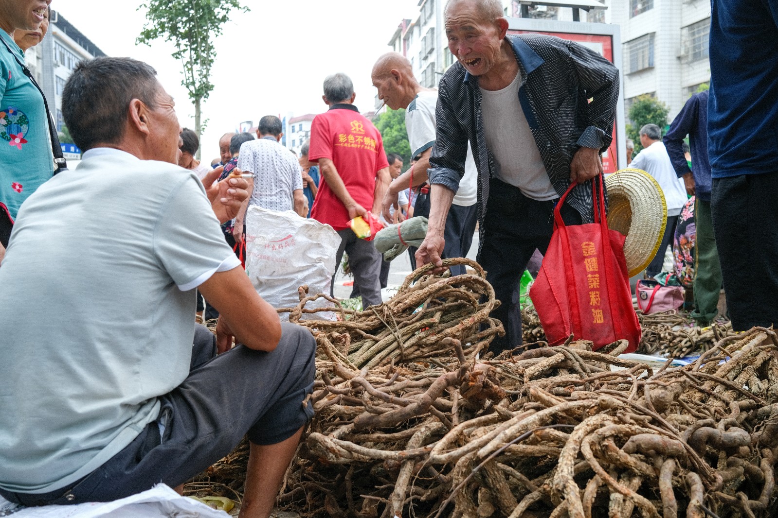 进补的习俗,各乡村村民尤其是大山里的瑶族同胞们,就近上山挖药30