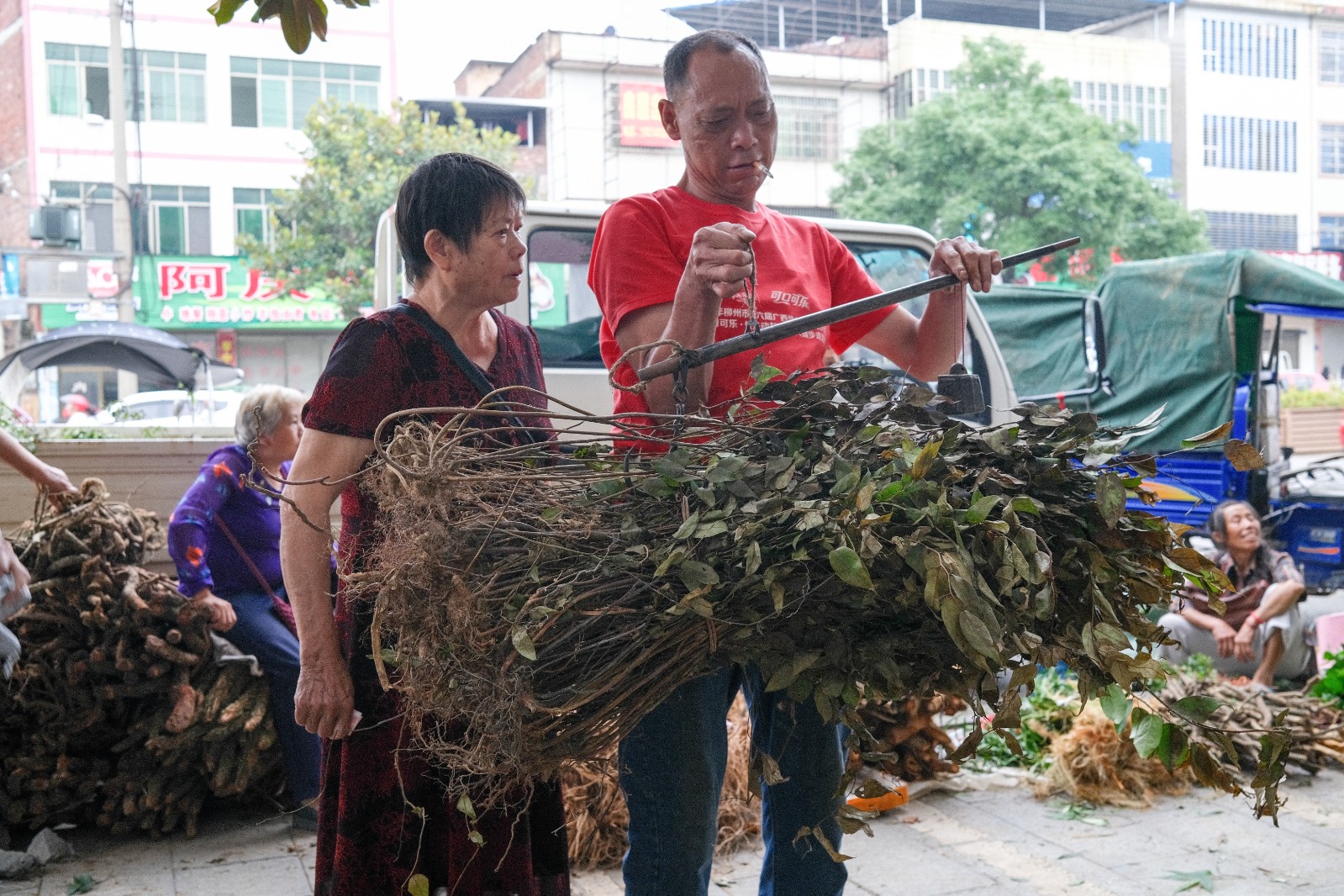 进补的习俗,各乡村村民尤其是大山里的瑶族同胞们,就近上山挖药30